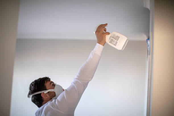 Best Mold Testing and Inspection Services in Albion, IL