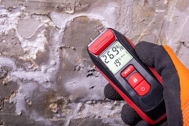 Best Localized Mold Remediation (e.g., coastal areas, humid climates) in Albion, IL