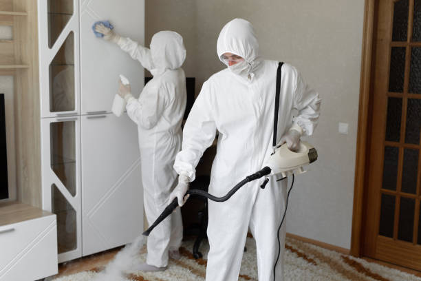 Best Post-Flood Mold Remediation in Albion, IL